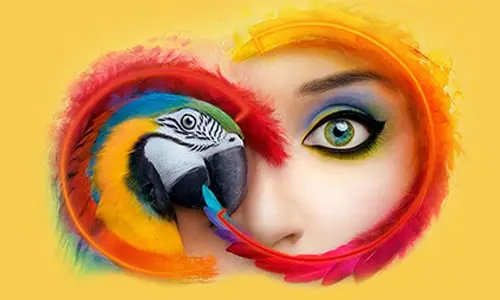 zica graphic design course